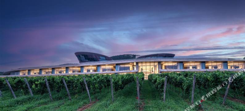 逃牛岭度假酒庄图片