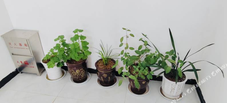 红景轩·森野度假民宿图片