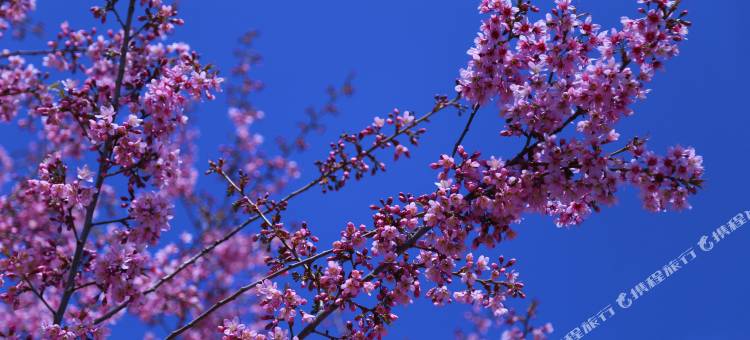 抚仙湖小湾壹号民宿图片