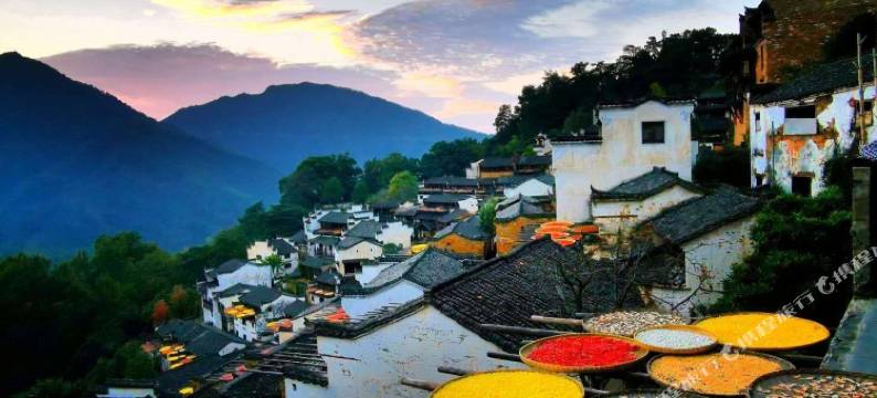 婺源舒雅客栈图片