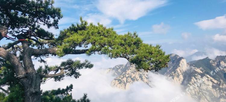 华山福庭民宿图片