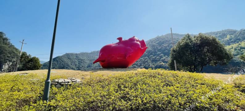 宁海兰亭温泉艺术酒店图片