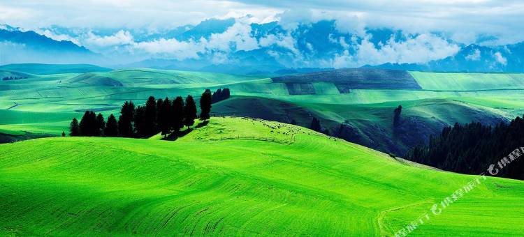 格林豪泰酒店(奇台米东路店)图片