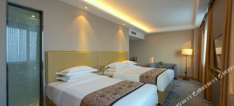 乌鲁木齐翼龙国际大酒店(乌鲁木齐高铁站自治区博物馆店)图片