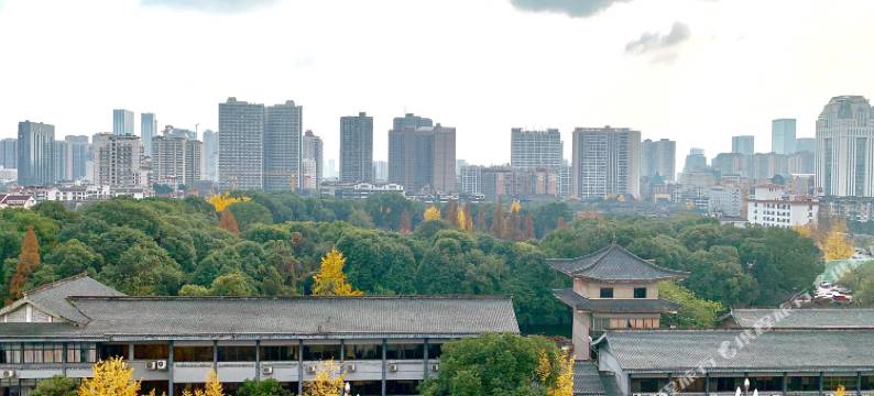 索菲斯锦苑宾馆(成都文殊院地铁站店)图片