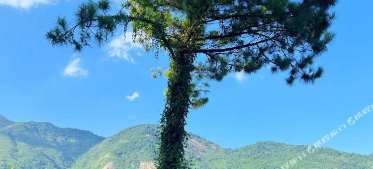衡山风味山庄·一线山景(南岳衡山景区店)图片