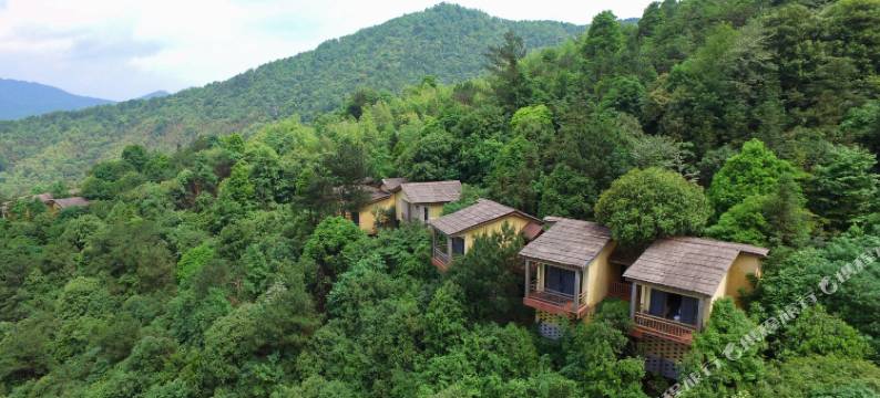丫山旅游度假区-九成山舍别墅酒店图片