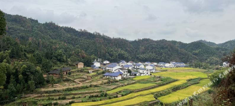 听云书院(岳阳平江店)图片