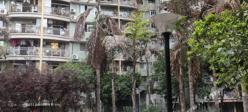 尔亭·金沙公寓(肿瘤医院店)图片