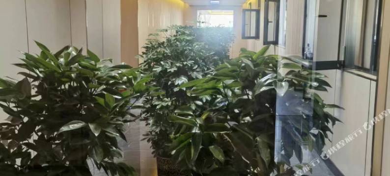 尚品优梦住宿酒店图片
