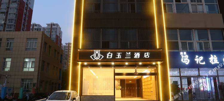 白玉兰酒店(沧州永济东路园博园店)图片