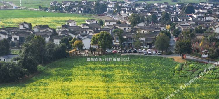 小米民宿图片