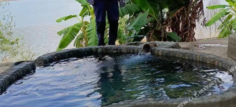 武定有华商务酒店图片