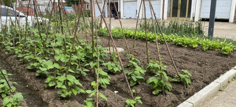 伊春绿野A居民宿图片