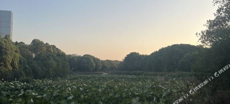 栖幕影音·CityNest·LOFT拾光逸居(青花东岸艾溪湖东地铁站店)图片