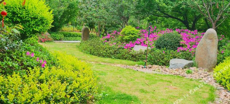 安吉嘉镓小院图片