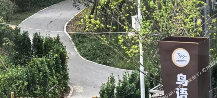 鸟语林·栖湖民宿图片