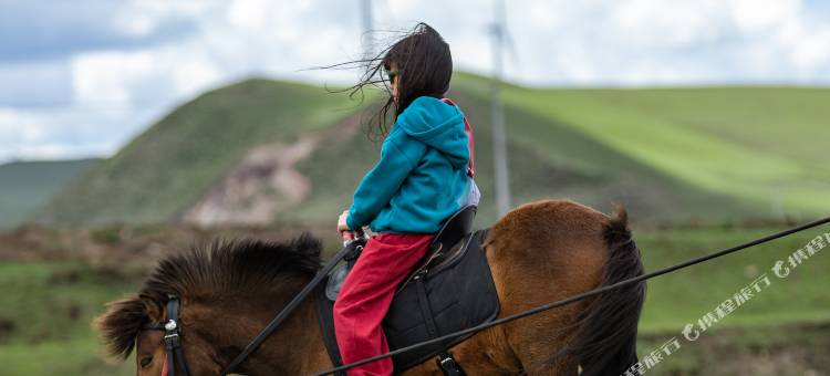 西滩新宿(丰宁大滩店)图片
