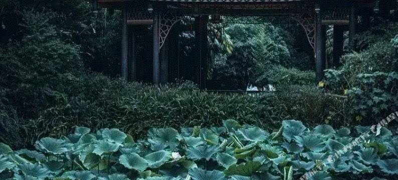 岚海电竞民宿(眉山东站店)图片