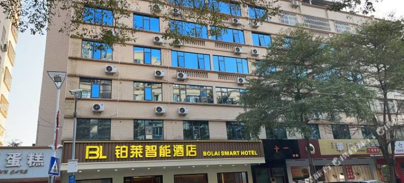 铂莱智能酒店(德庆龙母大街店)图片