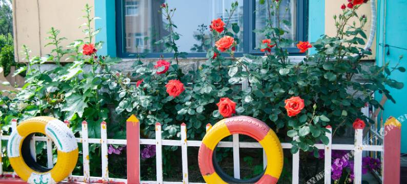 威海To家公寓图片