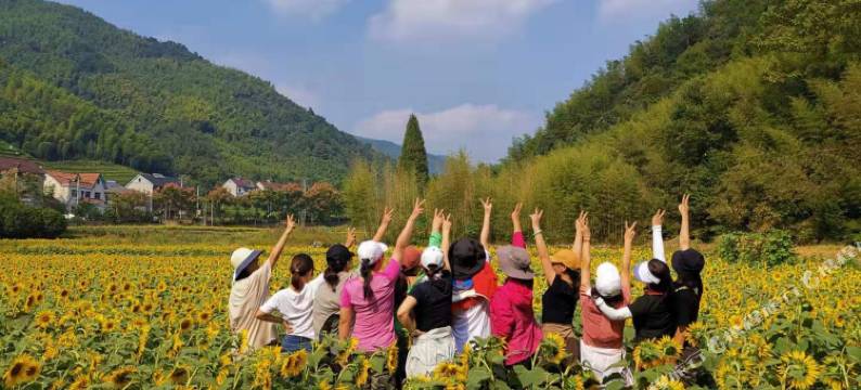 莫干山窝里乡民宿图片