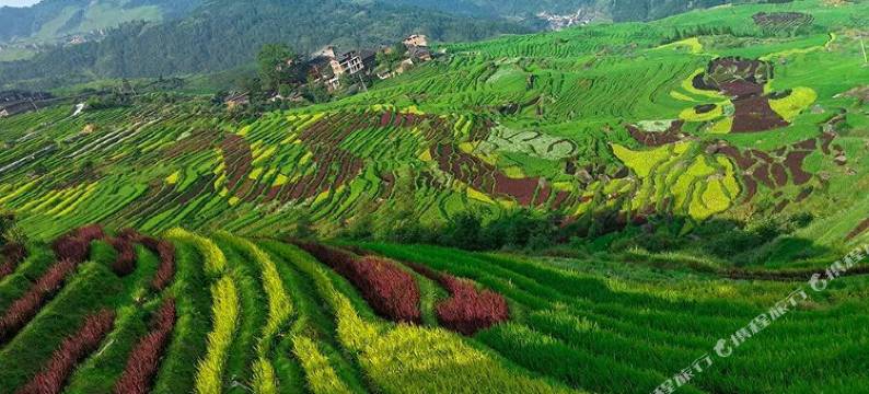 龙脊梯田欣运酒店图片