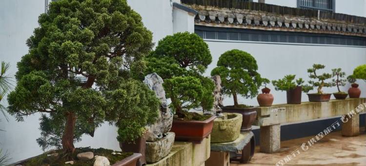 黄山徽溪雅院(西溪南古村落店)图片