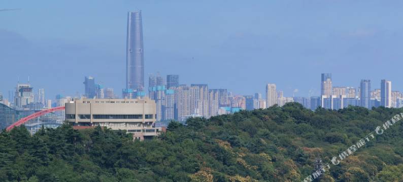 森秋里湖景影院公寓(武汉钟家村地铁站归元寺店)图片