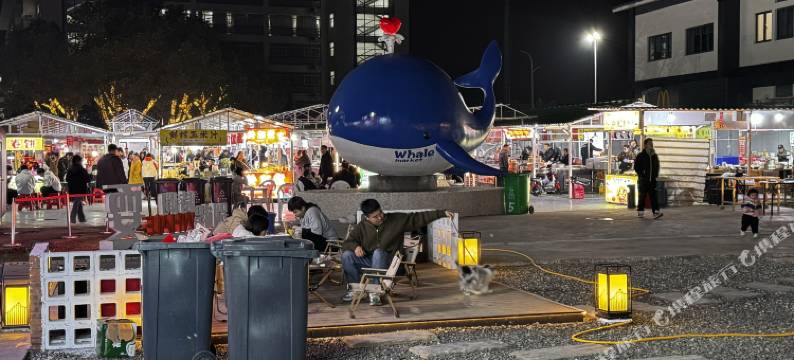 如家华驿精选酒店(南京禄口国际机场铜山地铁站店)图片