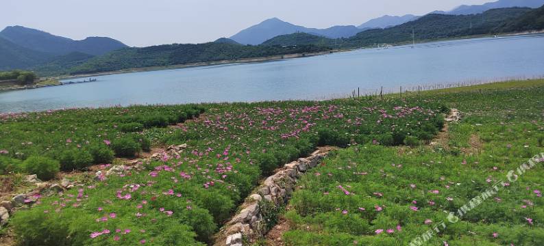 北京金海湖多福人家农家院图片