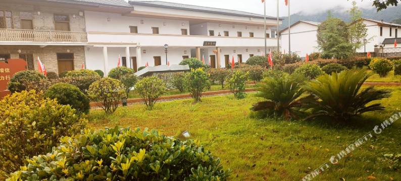 小布训练营图片