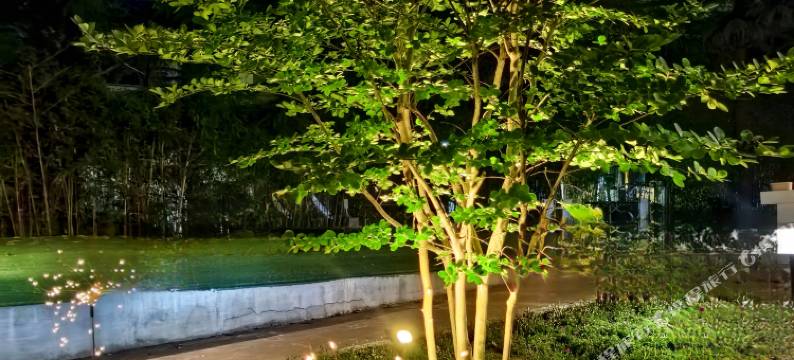 阿兰那美·Modern Tropical夏日定格美宿(碧螺塔酒吧公园店)图片