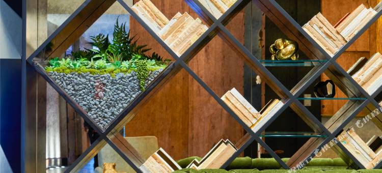 阿尔洛芝加哥(Arlo Chicago)图片