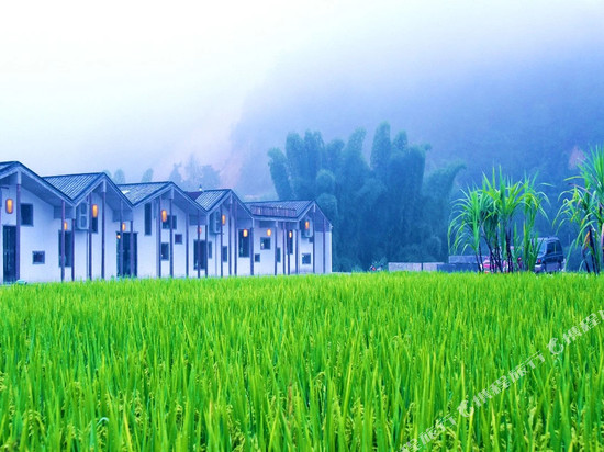 梅州大埔禾肚里稻田民宿