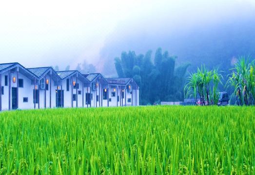 梅州大埔禾肚里稻田民宿外景图