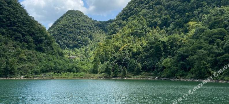 老支书苗家民宿图片