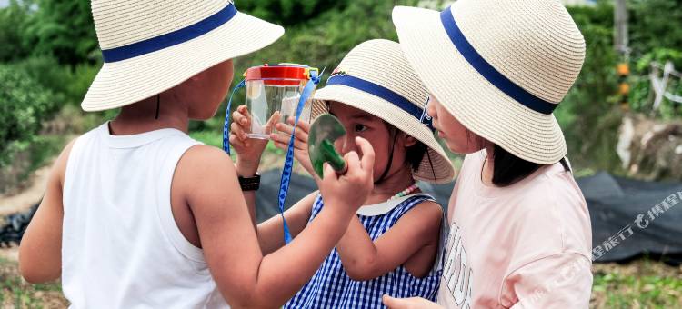 成都雅居乐豪生大酒店图片