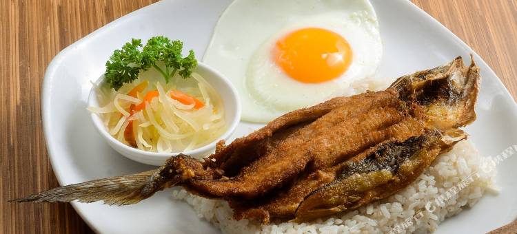 伊洛伊洛启航酒店(Go Hotels Iloilo)图片