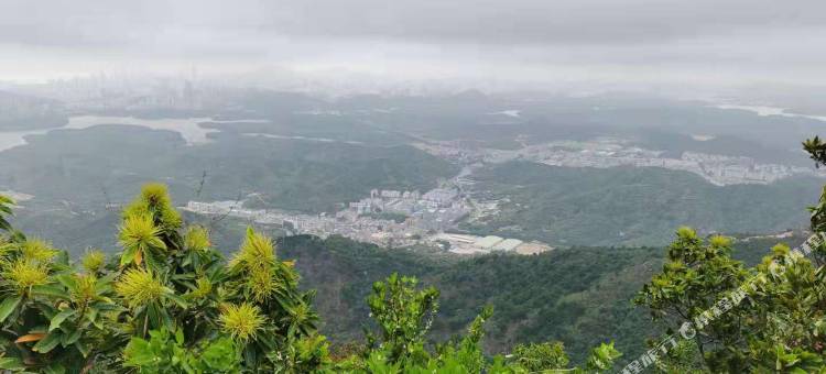 帝豪海湾酒店(深圳市国际会展中心店)图片