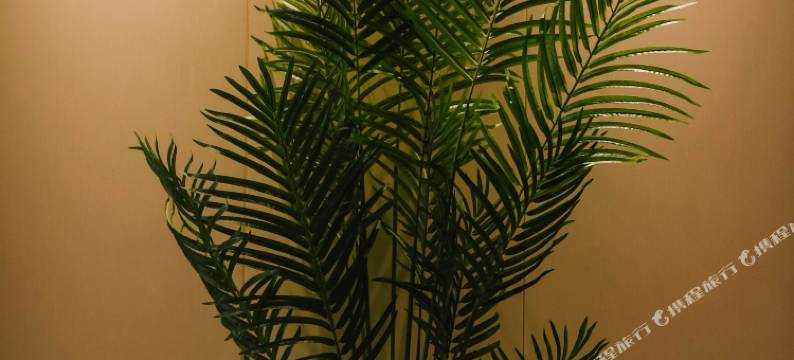 森工酒店(梅州江北老街店)图片