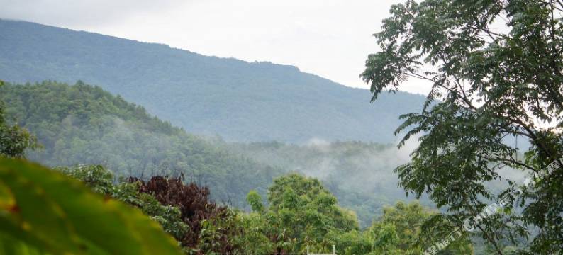 香草山酒店(Vanilla Hill (Hill Lodge))图片