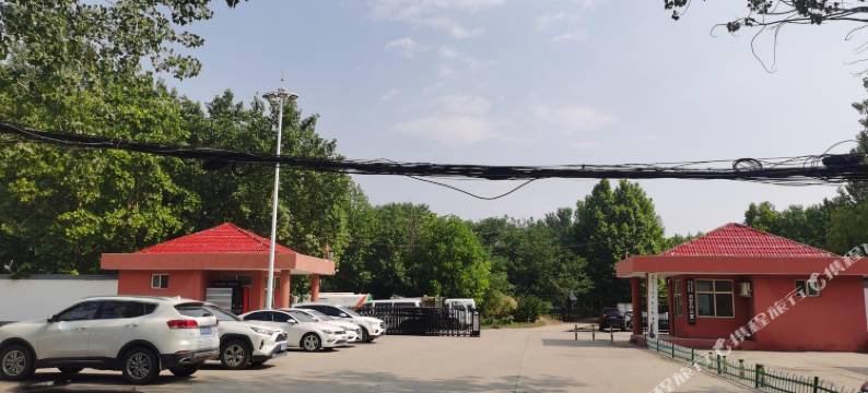 石家庄桐木酒店(城市经济职业学院店)图片