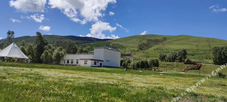 惠远星空民宿图片
