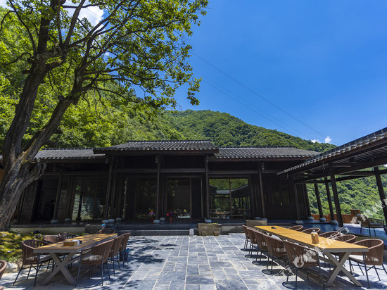 平武柿子树民宿