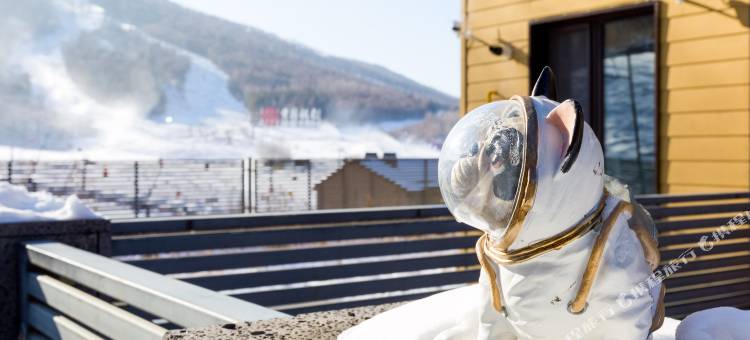 万科松花湖来去别墅图片