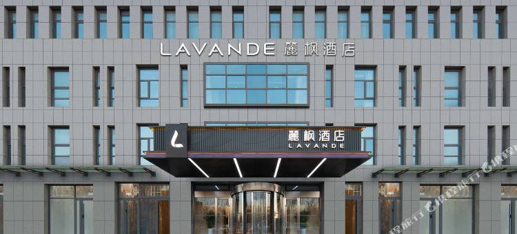 麗枫酒店(日照大学城安泰国际广场店)图片