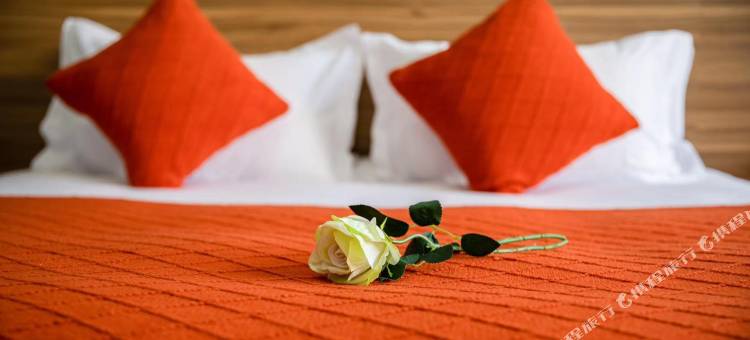 武夷山凡尘精品民宿图片