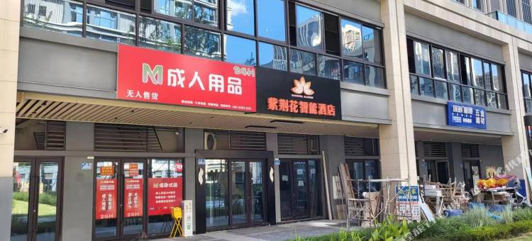 紫荆花智能酒店(微电园融创文旅城店)图片