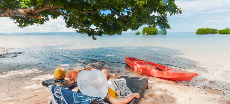 趣狮子 - 蒲甘(The Funny Lion - Puerto Princesa)图片